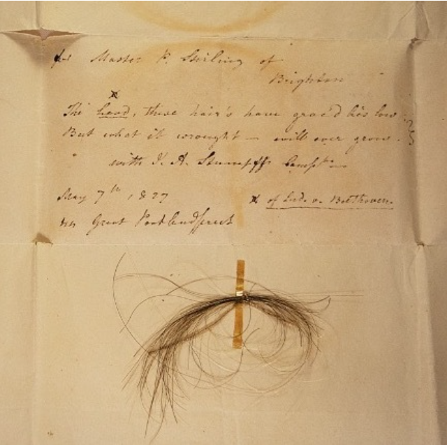 Beethoven'ın 1827 tarihli bir mektuba iliştirilmiş ve 2018 yılında Amerikan Beethoven Topluluğu üyesi Kevin Brown tarafından fotoğraflanmış otantik bir tutam saçı.