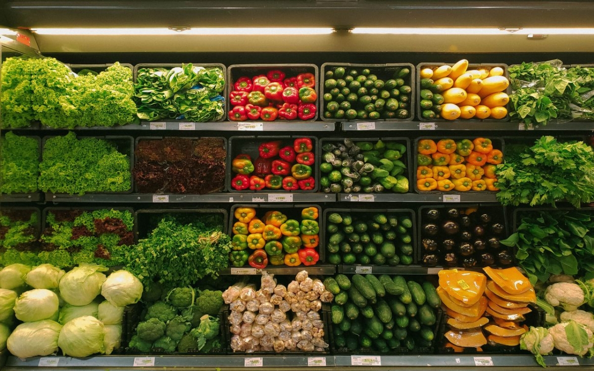 Organik Tarım ve Sürdürülebilir Gıda Üretimi