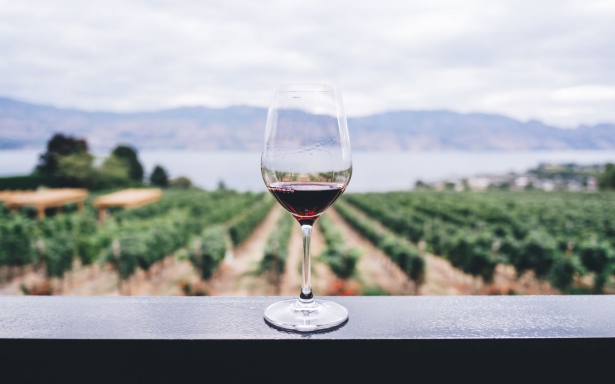 Şarap Üretimi: İncelikler, Süreçler ve Kalite