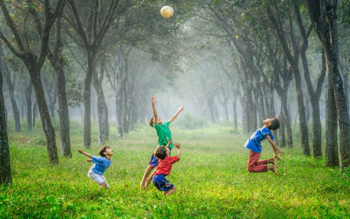 Çocukların Doğayla Bağlantısı ve Doğada Oyunun Önemi