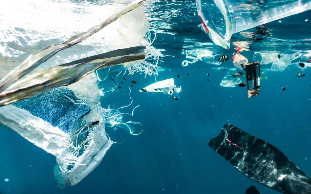 Plastik Kirliliği ve Denizlerdeki Etkileri