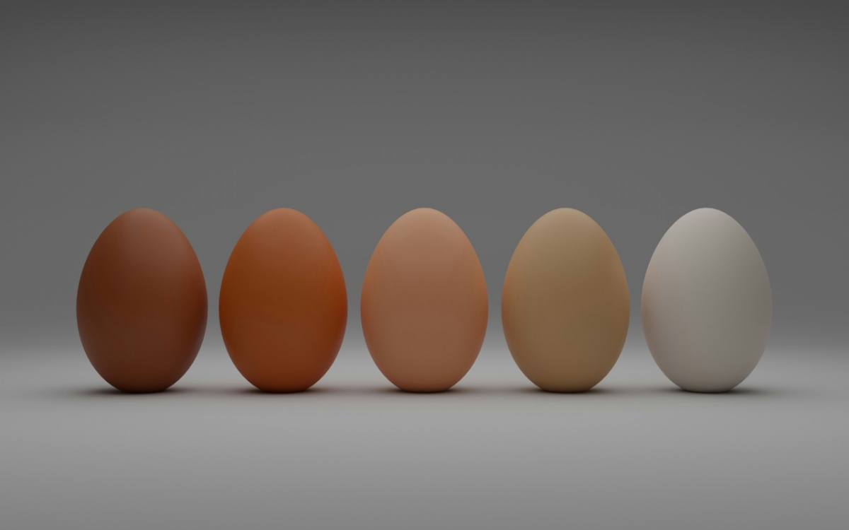 Yumurtaların Renkleri Neden Farklıdır?